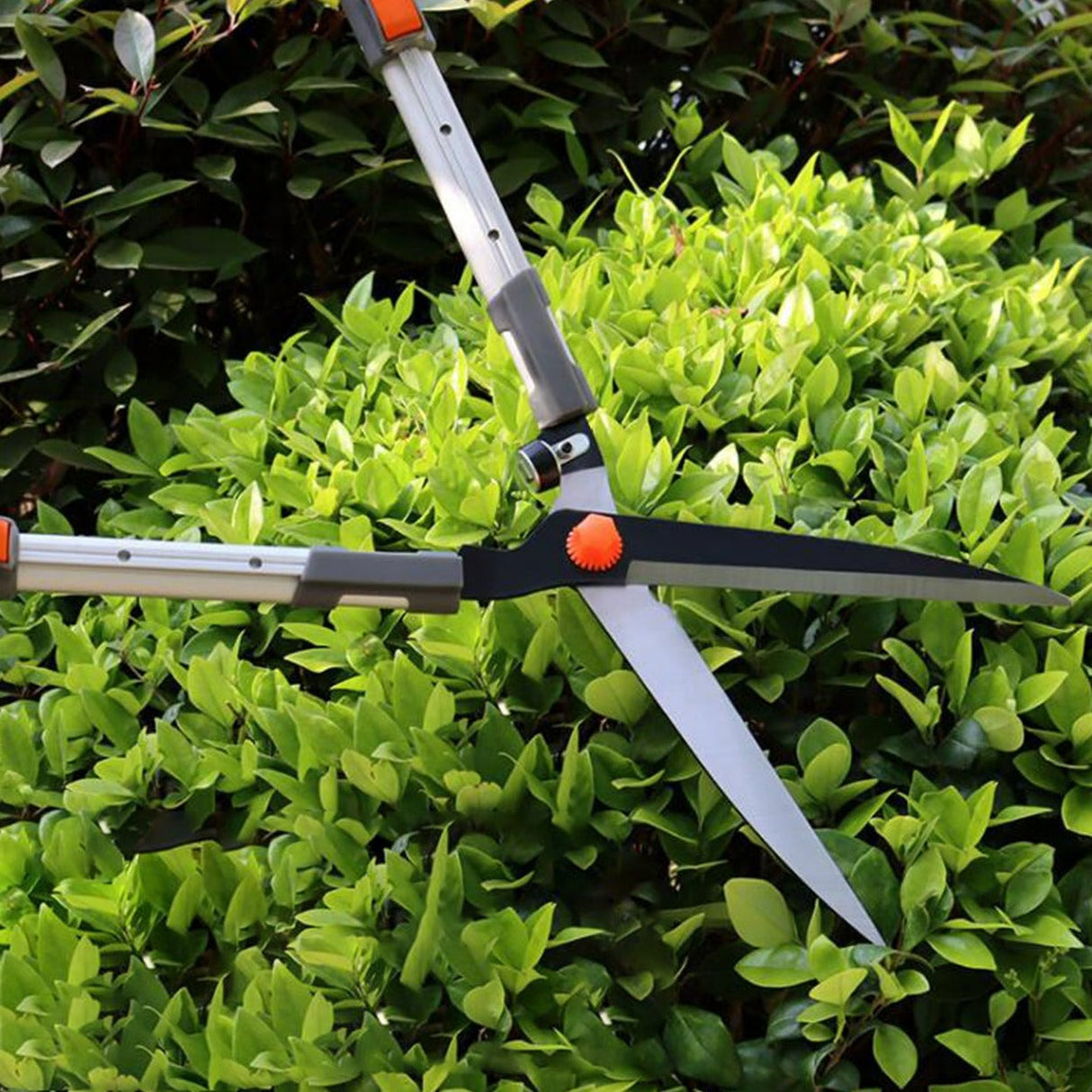 HYDROPONIC DEPOT Telescopic Garden Hedge Pruning Shears